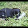 lode25_0124